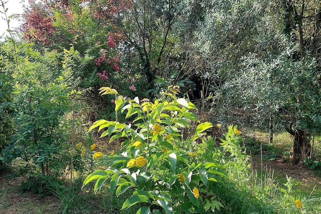 Maison De Campagne Avec Jardin Casa de Férias Montauban